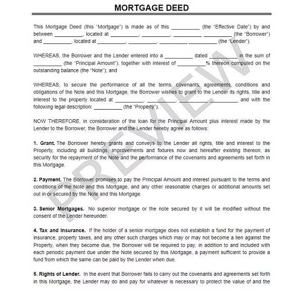 Registration Certificate